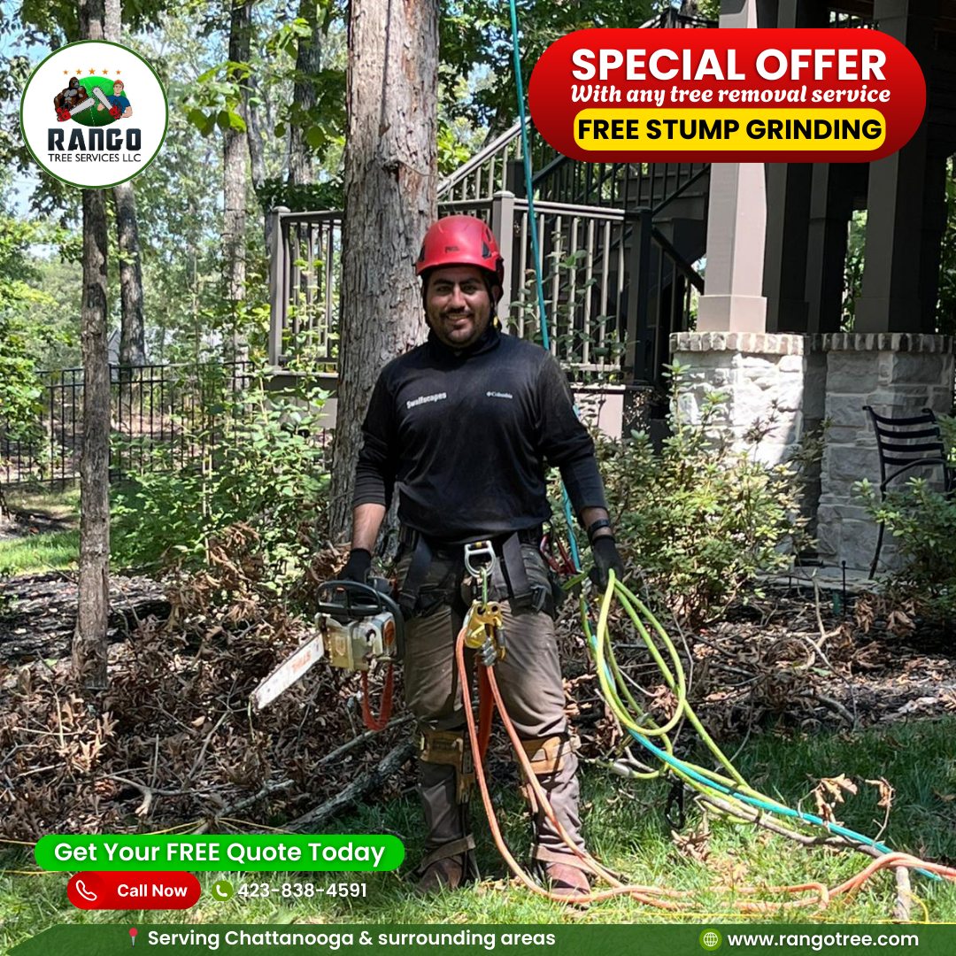 Rango Tree Services LLC | Chattanooga TN