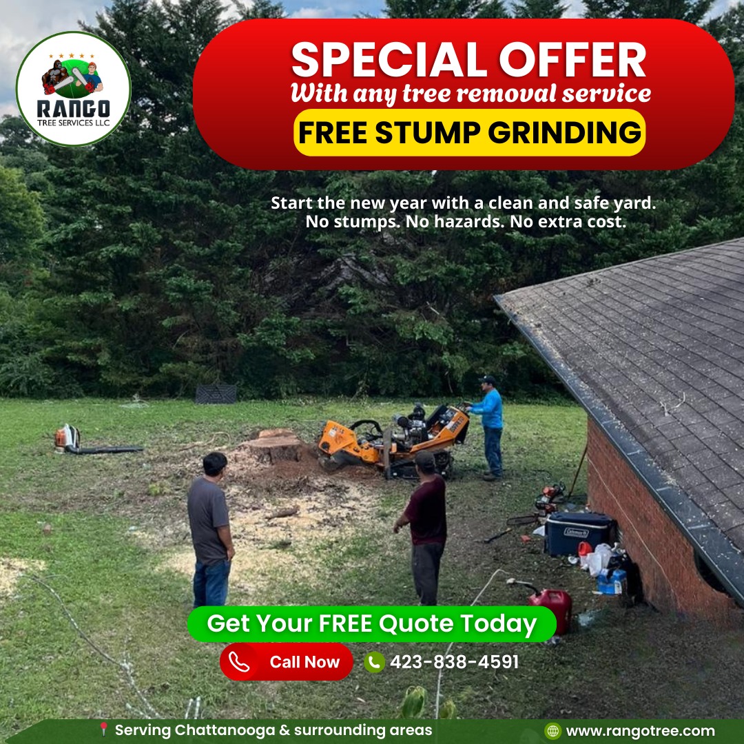 Rango Tree Services LLC | Chattanooga TN