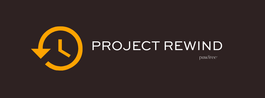 Project Rewind | Facebook