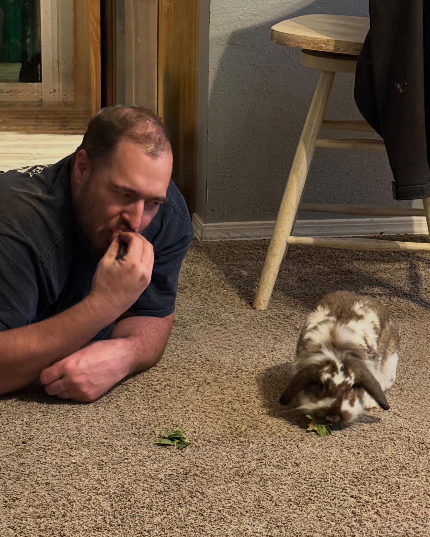 Nine Bun Bun Rabbit Rescue | Weiser ID