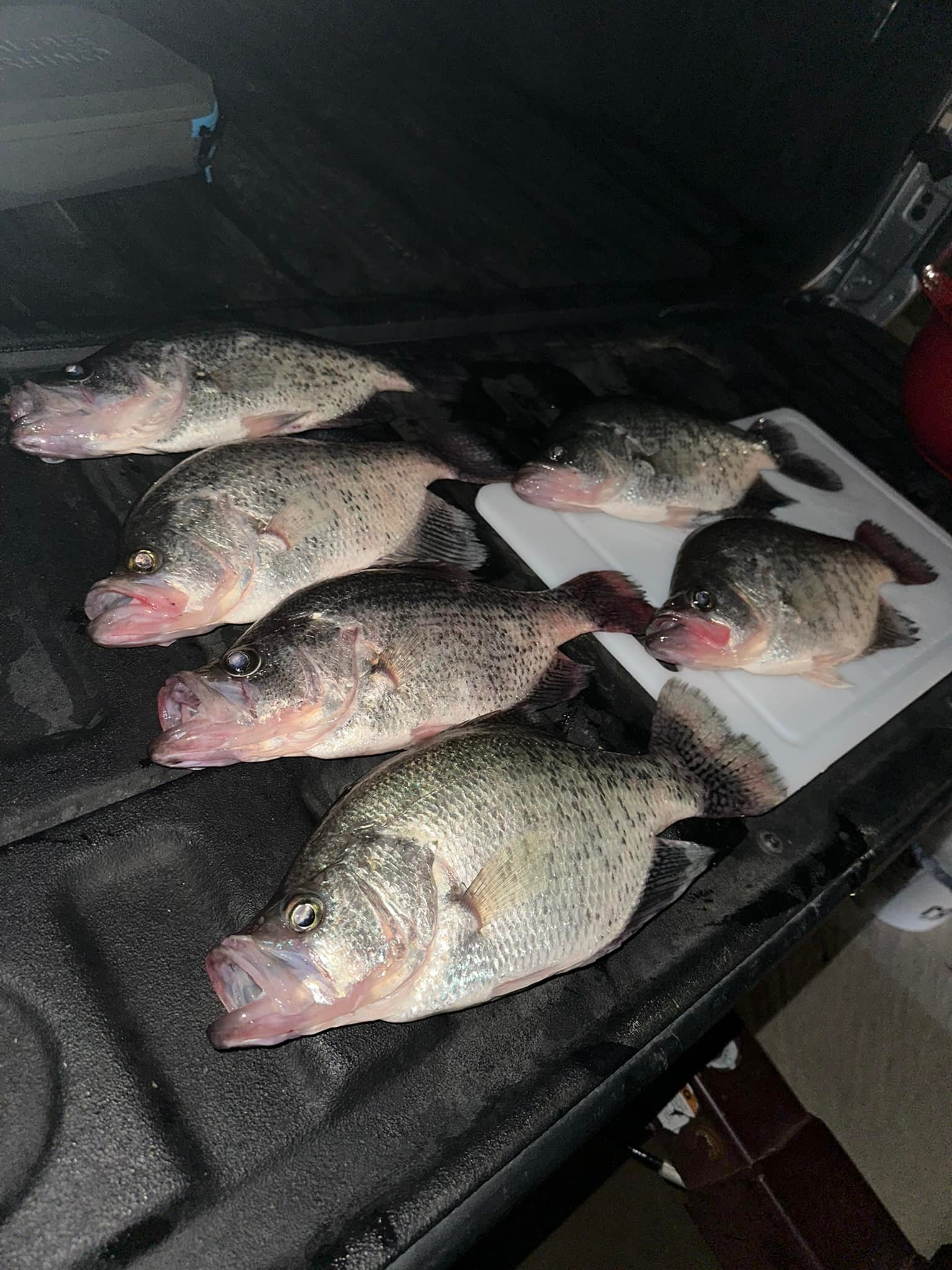 K&Y❤︎ Virginia crappie fishing trip with heavy tackle