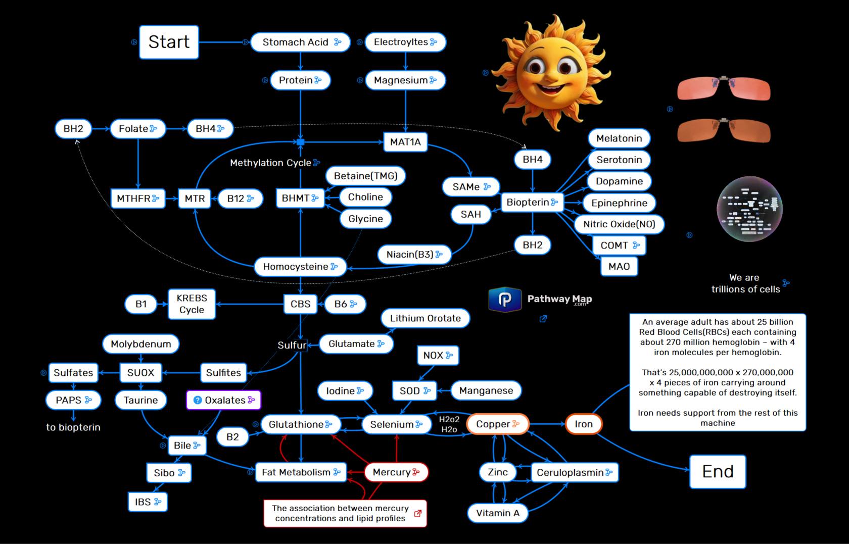 Pathway Map
