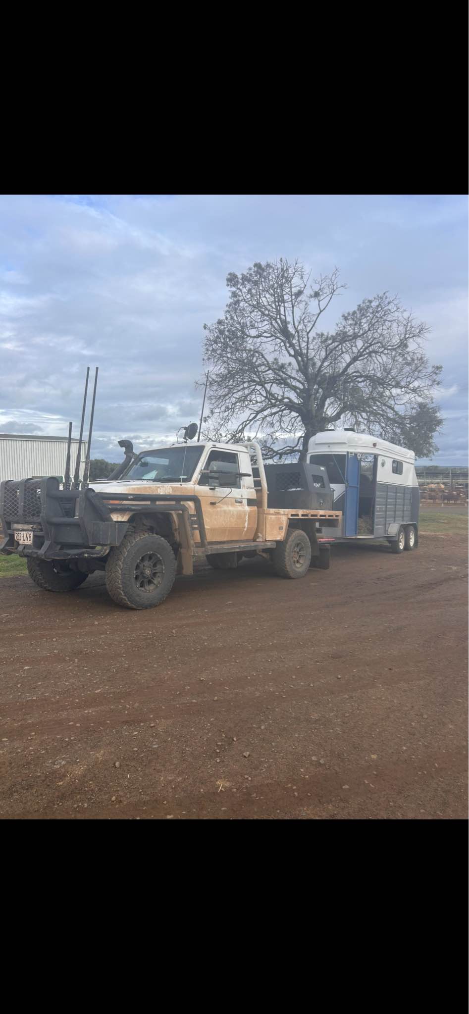 Roo Shooting Rigs And Racks | Facebook
