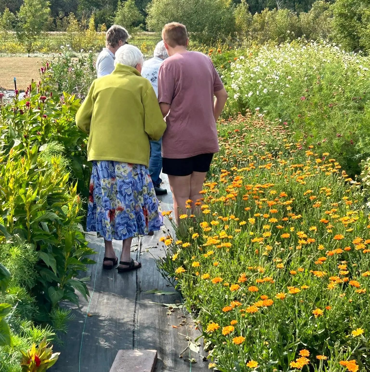 Four Daughters Cut Flower Farm | Canton SD