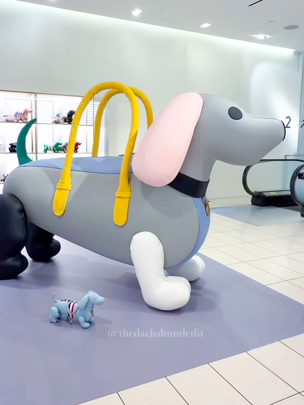 Hector dachshund display at Thom Browne pop-up in NYC Nordstrom