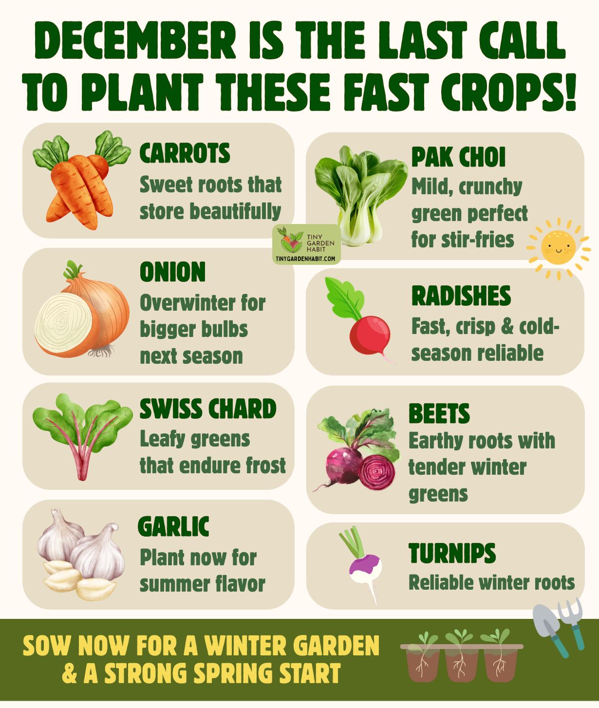 Tiny - 🥕 December may feel too cold for gardening, but it is actually ...