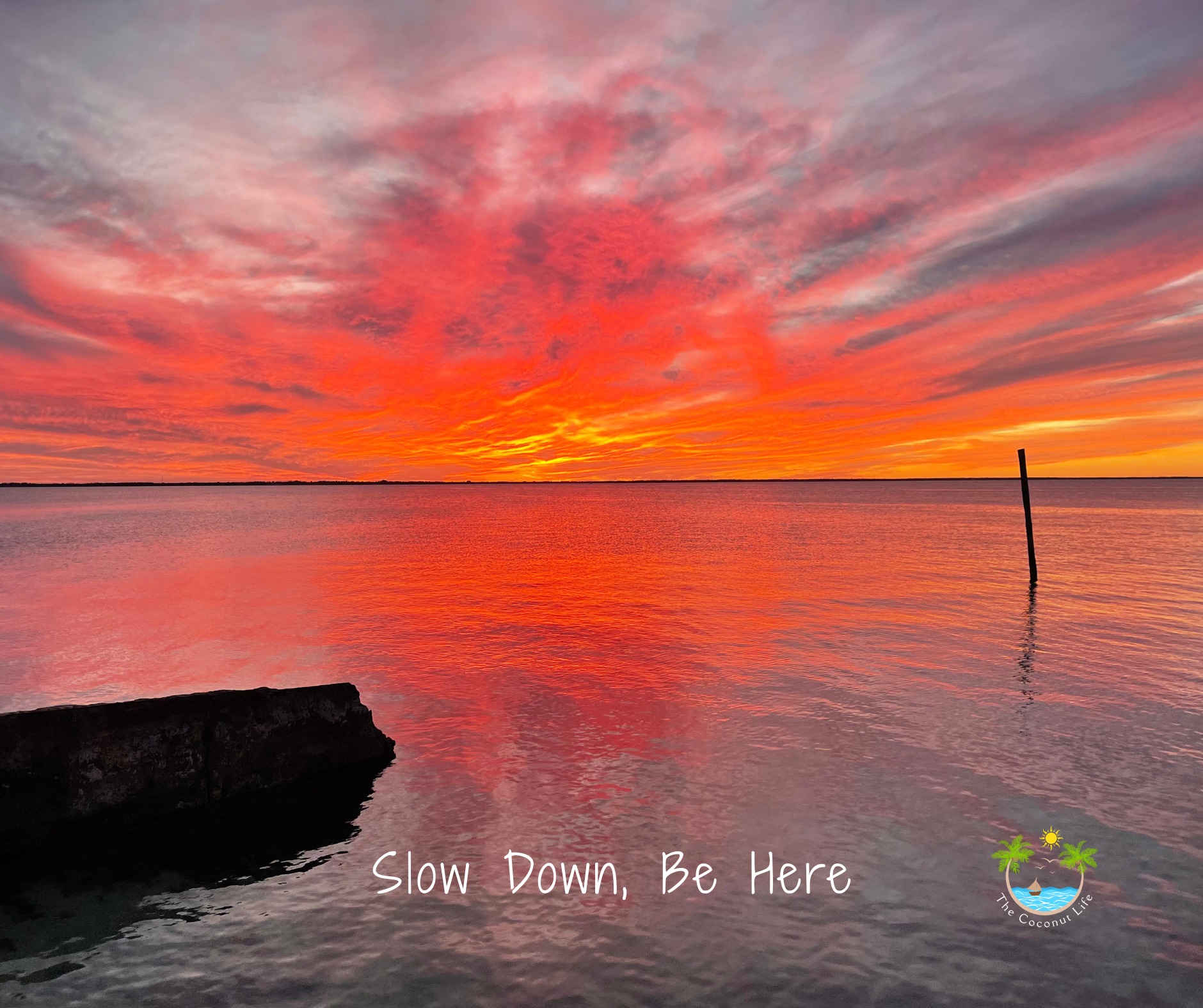 The Coconut - 🌇 Friday night’s sunset at Sundowners was one of those ...