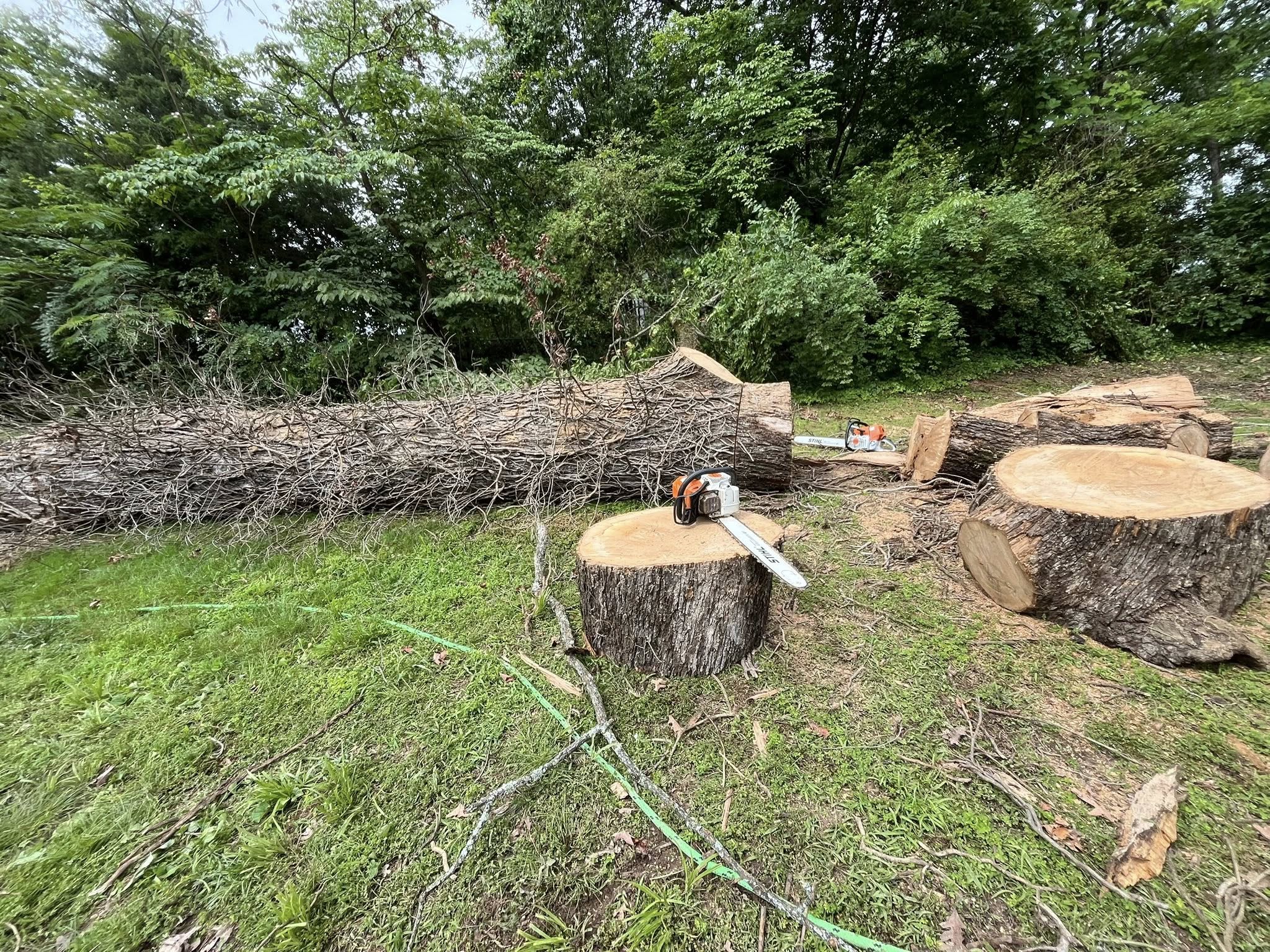 Rango Tree Services LLC | Chattanooga TN