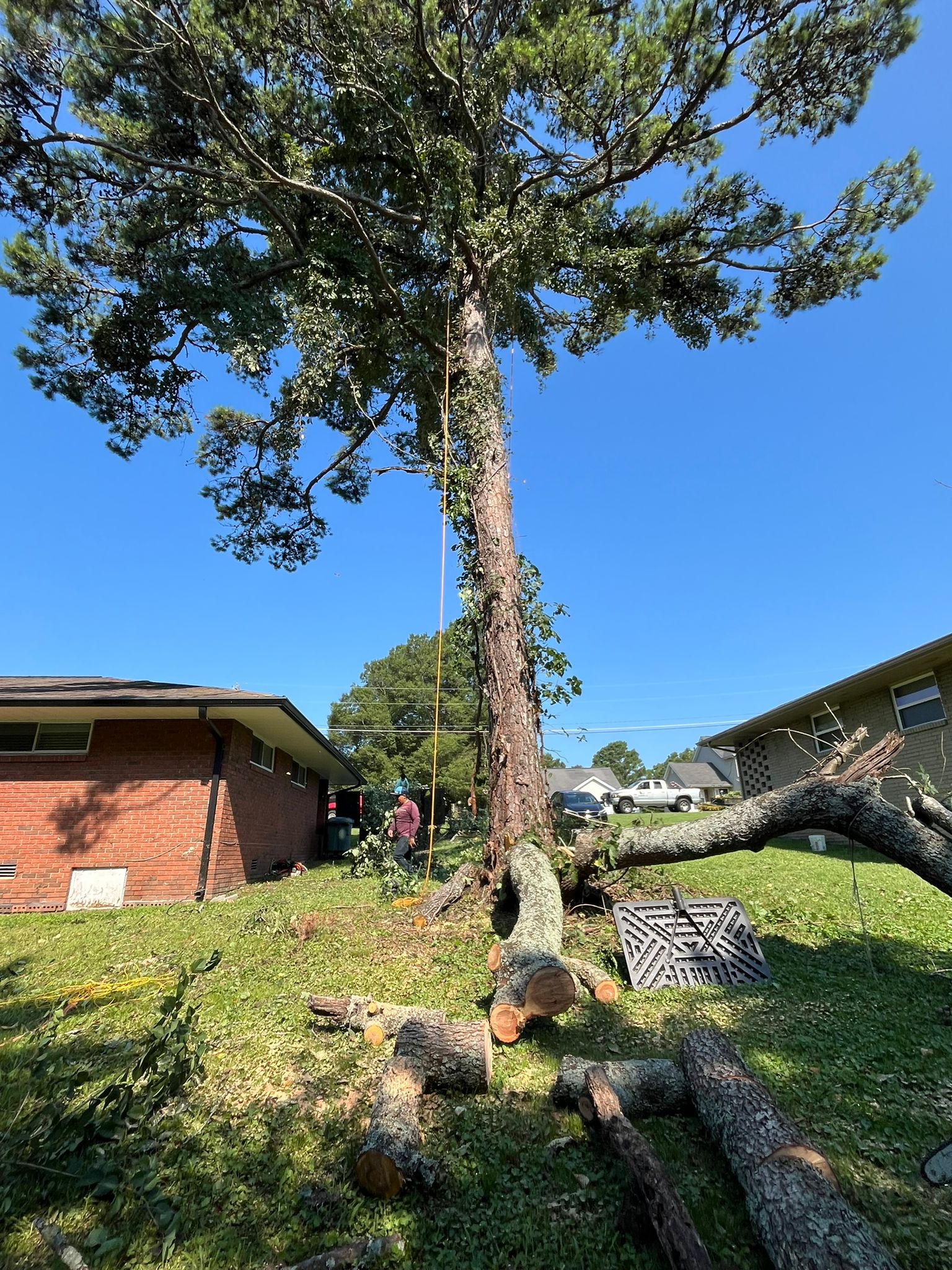 Rango Tree Services LLC | Chattanooga TN