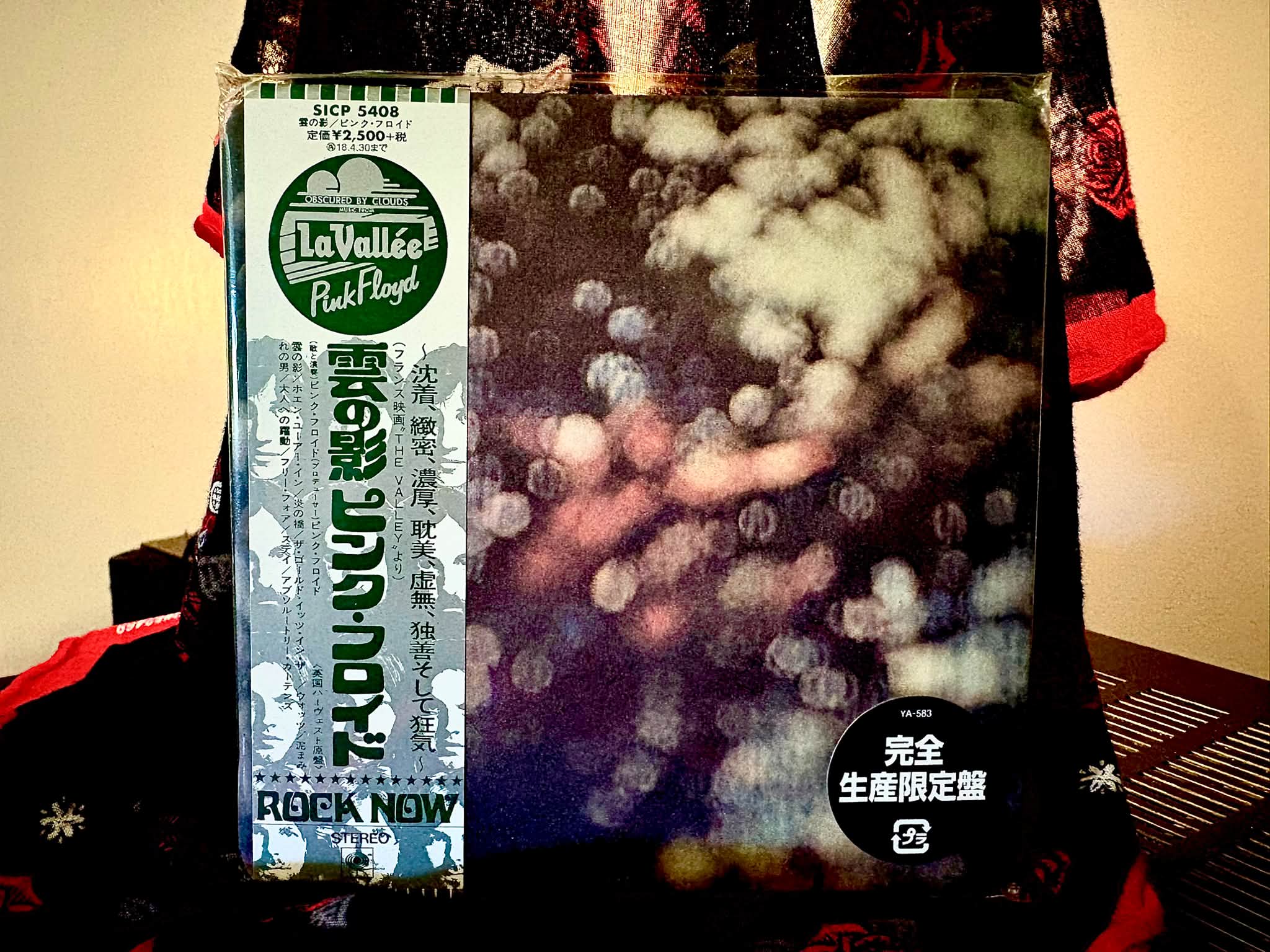 Huge favorite. Obscured By Clouds - Japan Mini-Lp