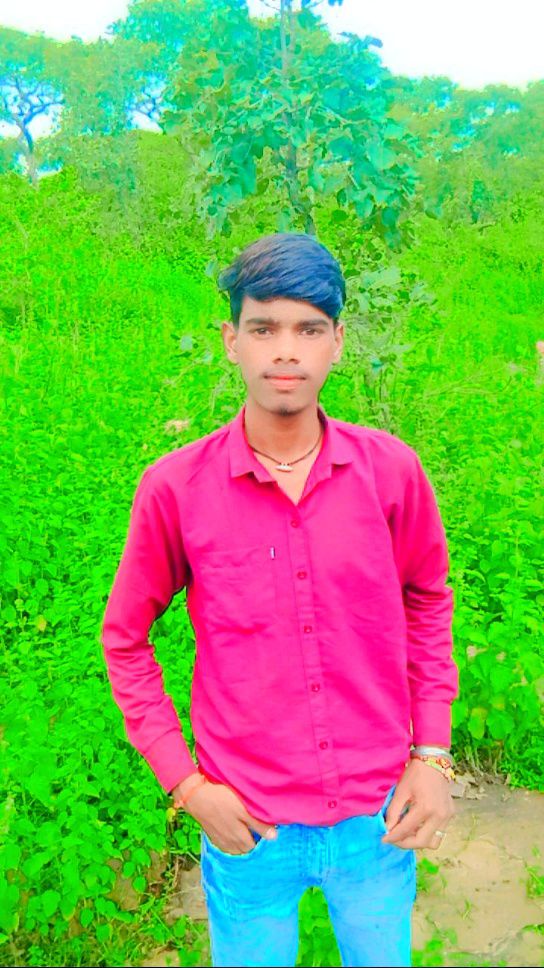 Netram Pal