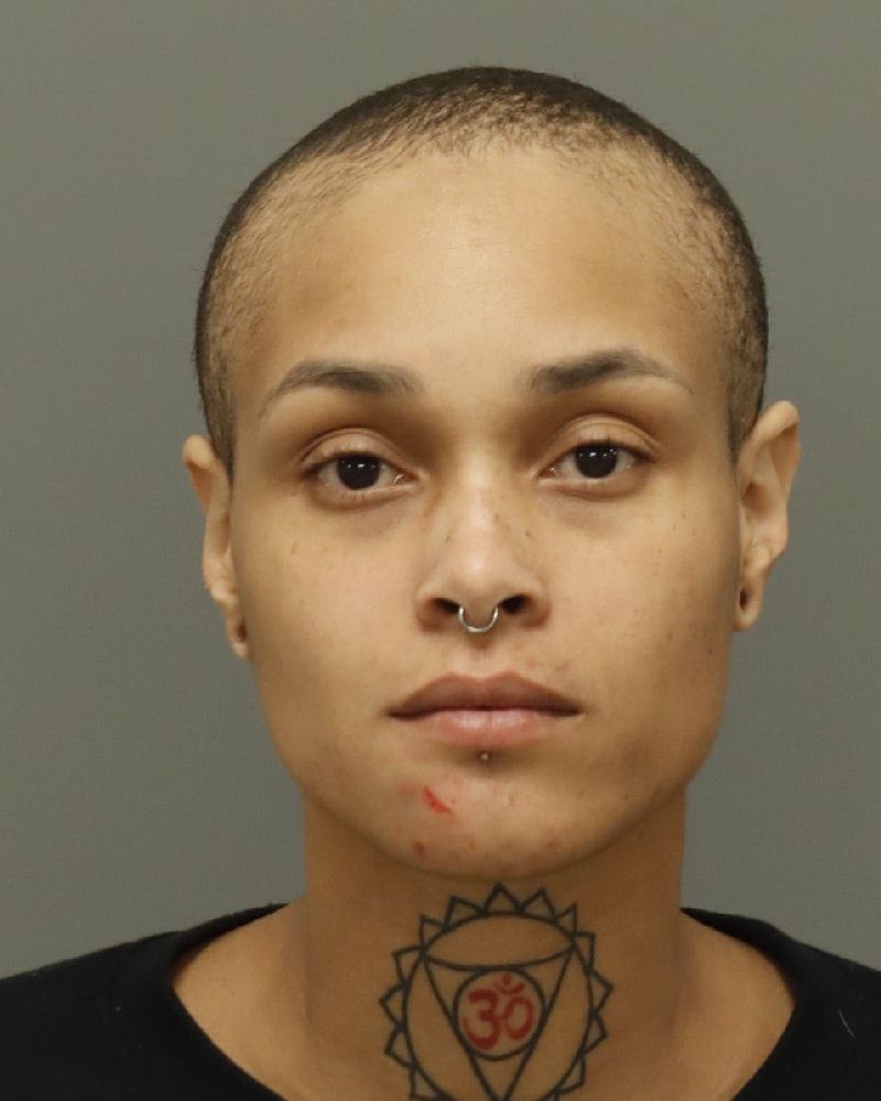 Wake County Name: ARIEL DENISE CANZIUS Arrest Date: February 4