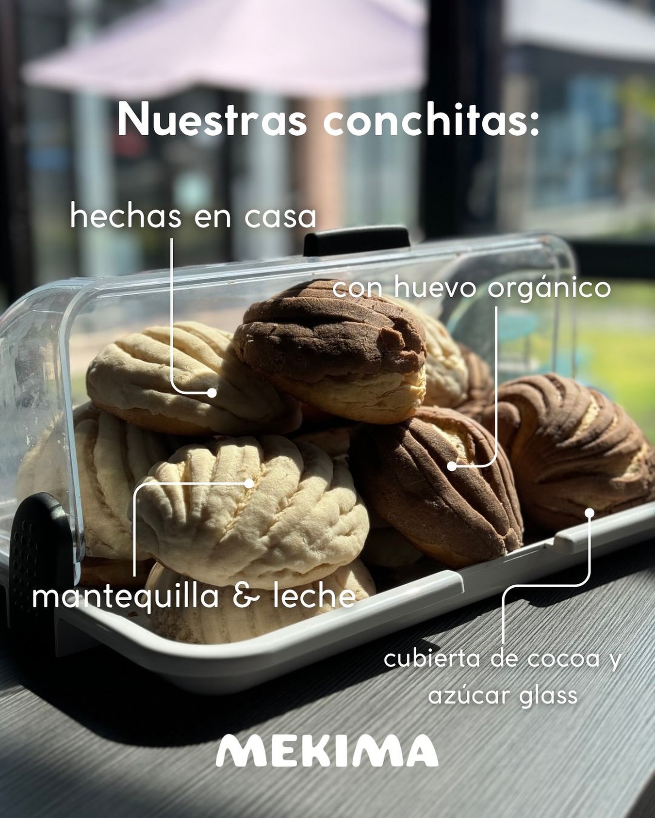 Mekima Café - Cada conchita tiene su historia… Hoy... | Facebook