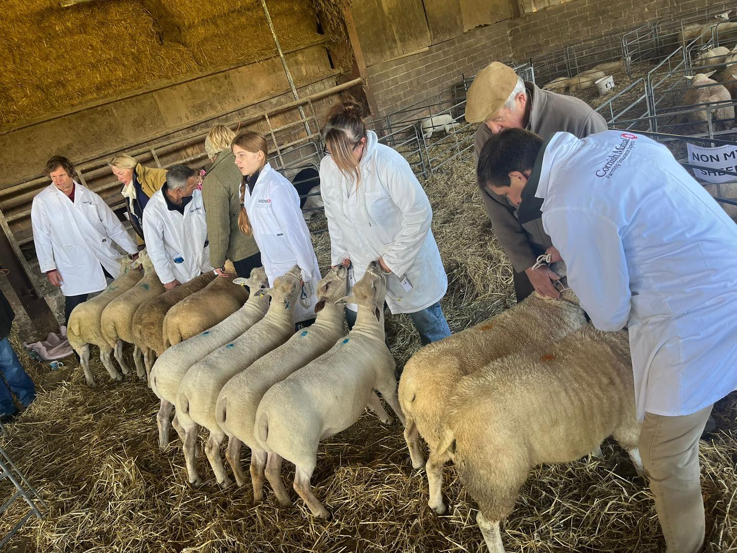 Plympton Primestock... - Plympton Primestock Society Show