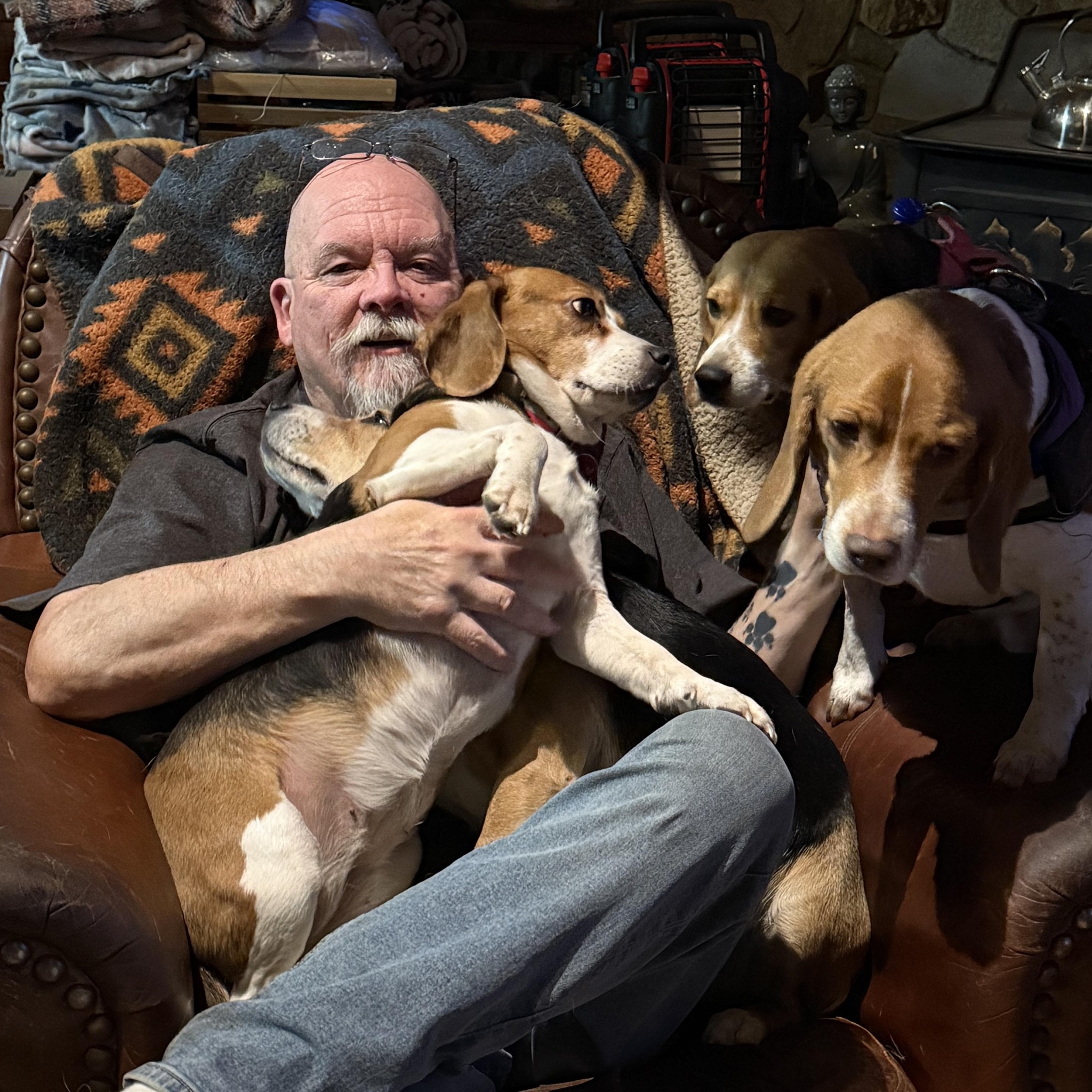 Photo AI generated. - Alaska Beagle Ranch | Facebook