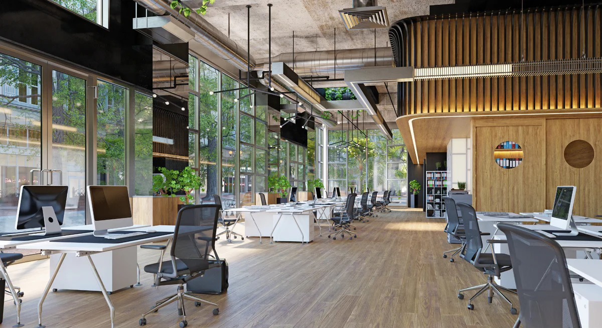 Clean Plus NZ | Wellington