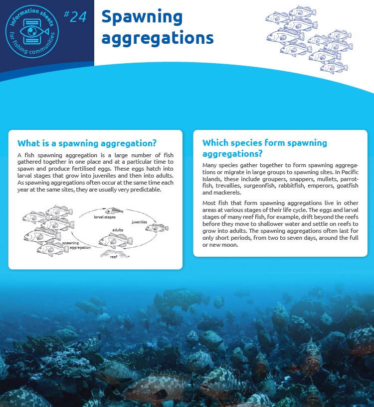 Ivatan Fisheries... - Ivatan Fisheries Professionals