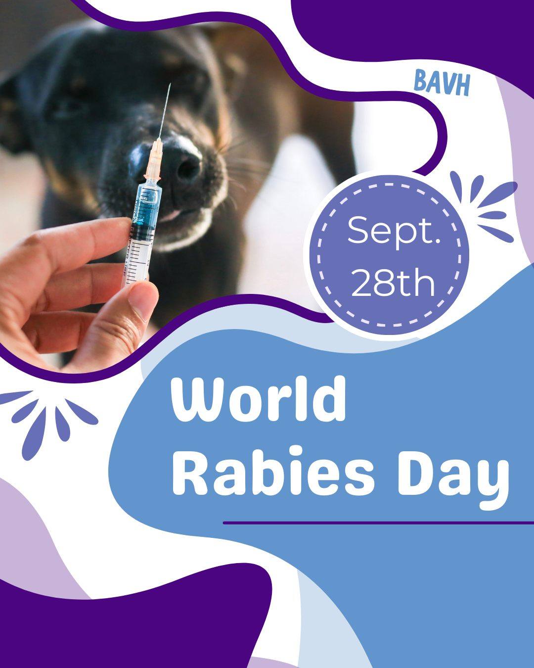 Blue - 🌍🐾 World Rabies Day – September 28 🐾🌍 Rabies is a 100% ...