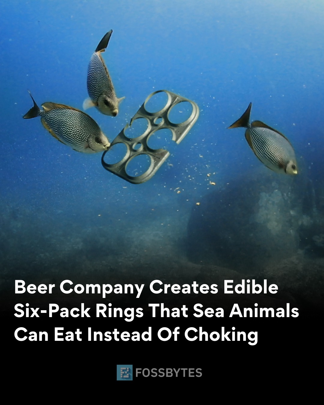 Fossbytes - In the year 2016, SaltWater Brewery in Florida... | Facebook