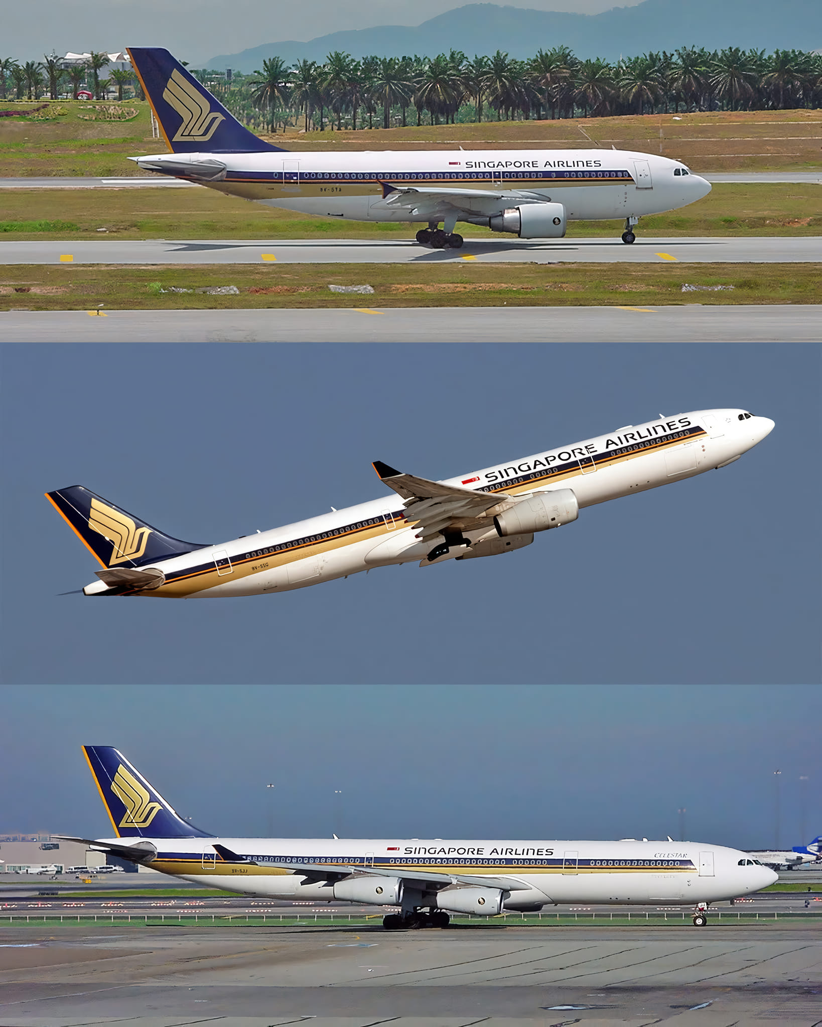 Airbus aircraft used by Singapore Airlines