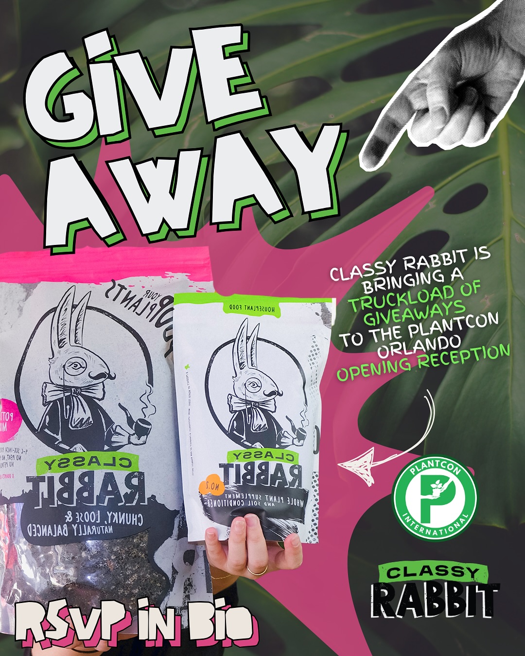 PlantCon - 🚨 Classy Rabbit is bringing a TRUCKLOAD of... | Facebook