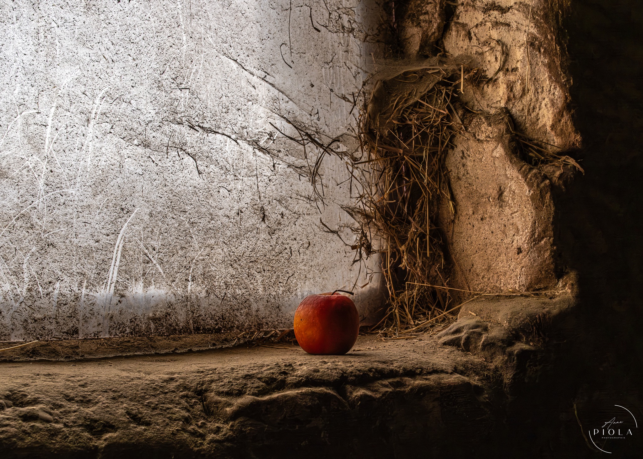 The Forgotten apple