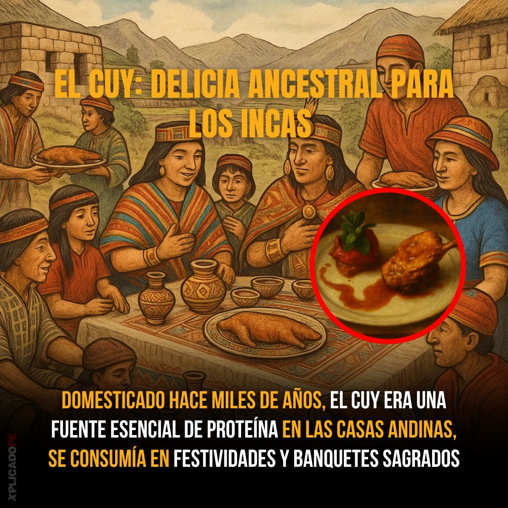 Xplicadope. - 🇵🇪 EL CUY: TESORO ANCESTRAL DE LA MESA... | Facebook