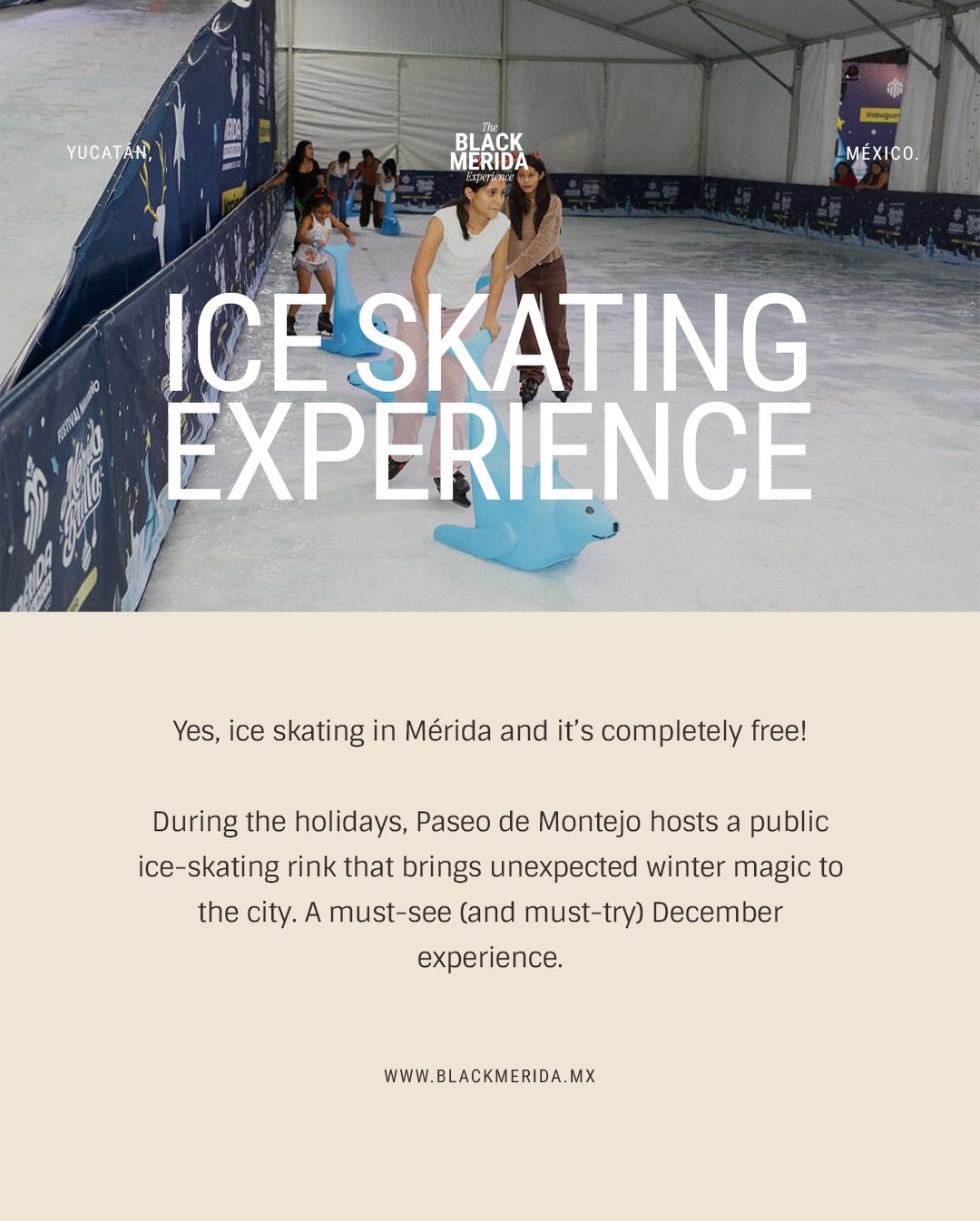 The Black Merida Experience | Mérida