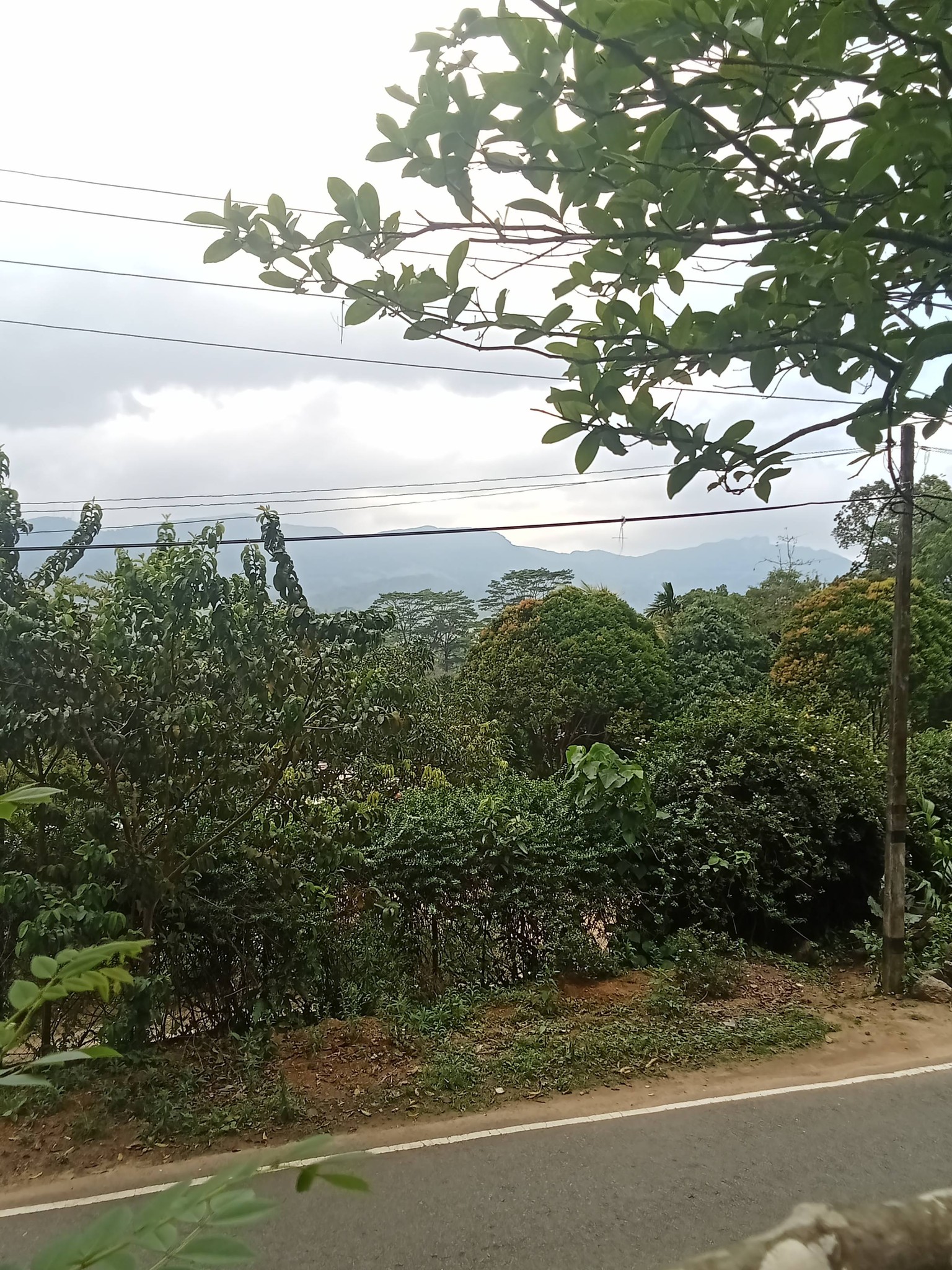 Deniyaya South Property