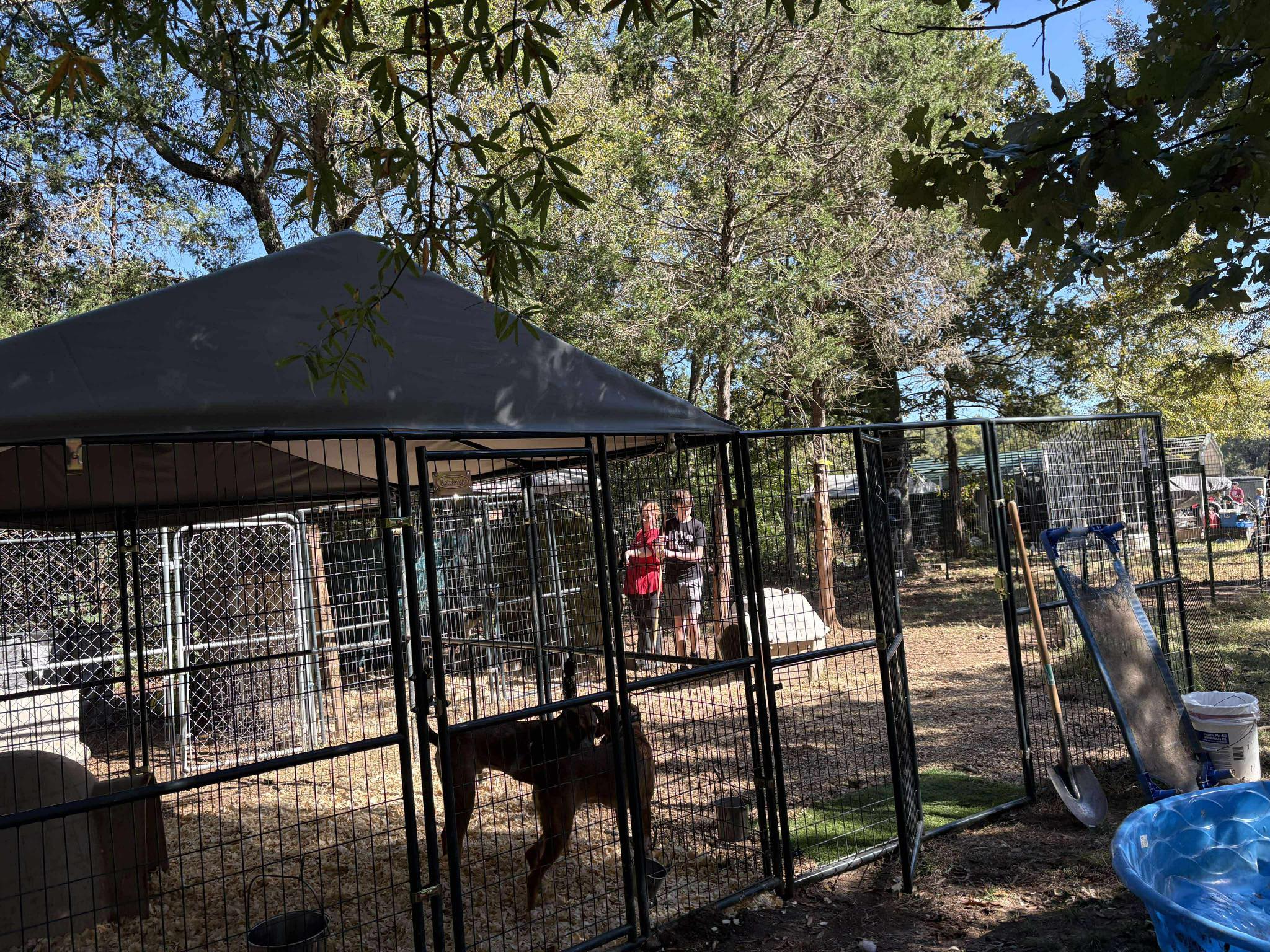 Jak's Second Chance... - Jak's Second Chance Rescue Ranch