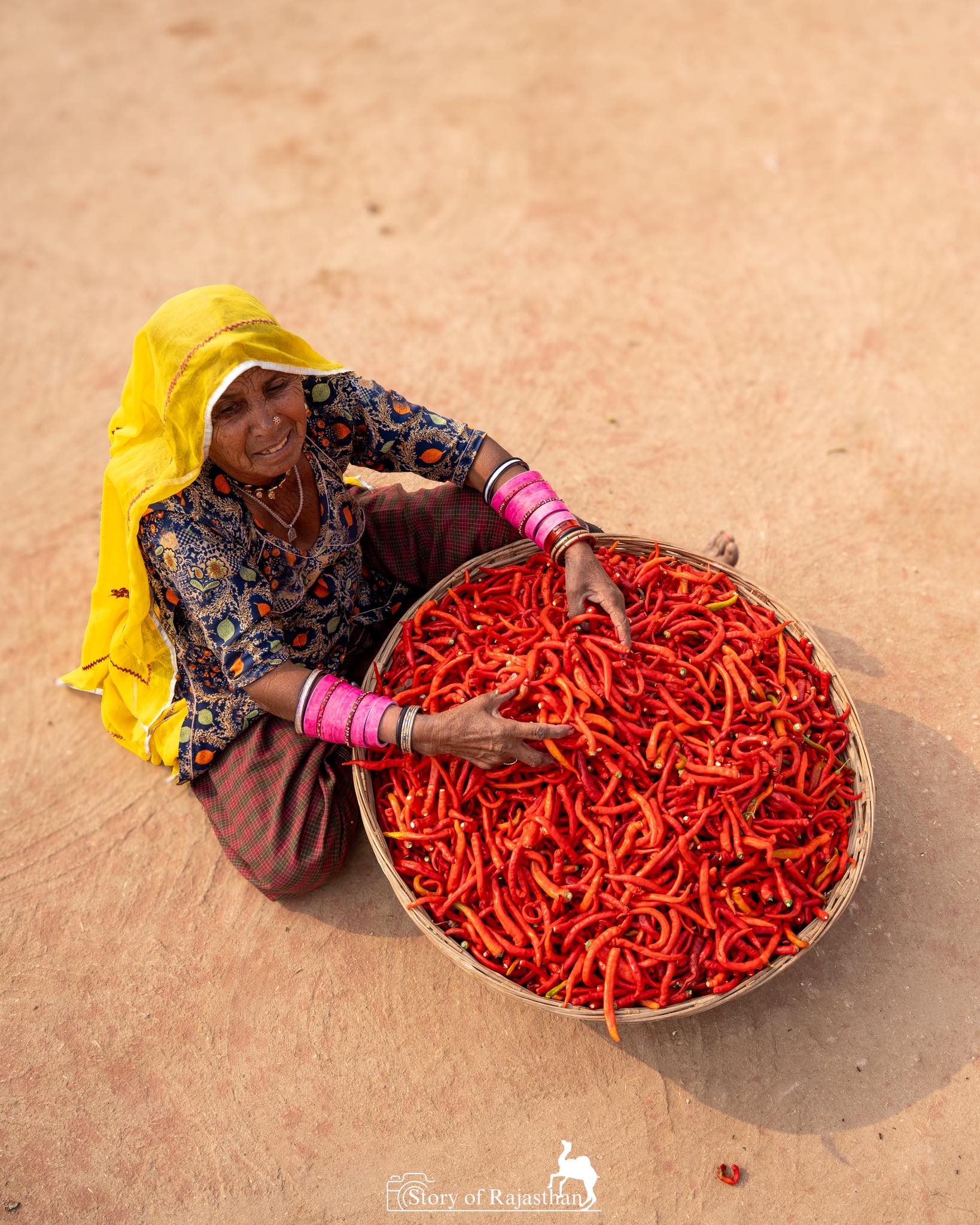 Story - 400/- रूपये किलो विश्व प्रसिद्ध मथानिया की लाल मिर्ची 🌶️ # ...