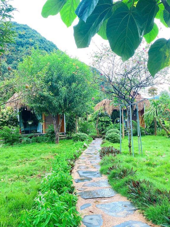 Bó Bun Homestay Mộc Châu | Moc Chau