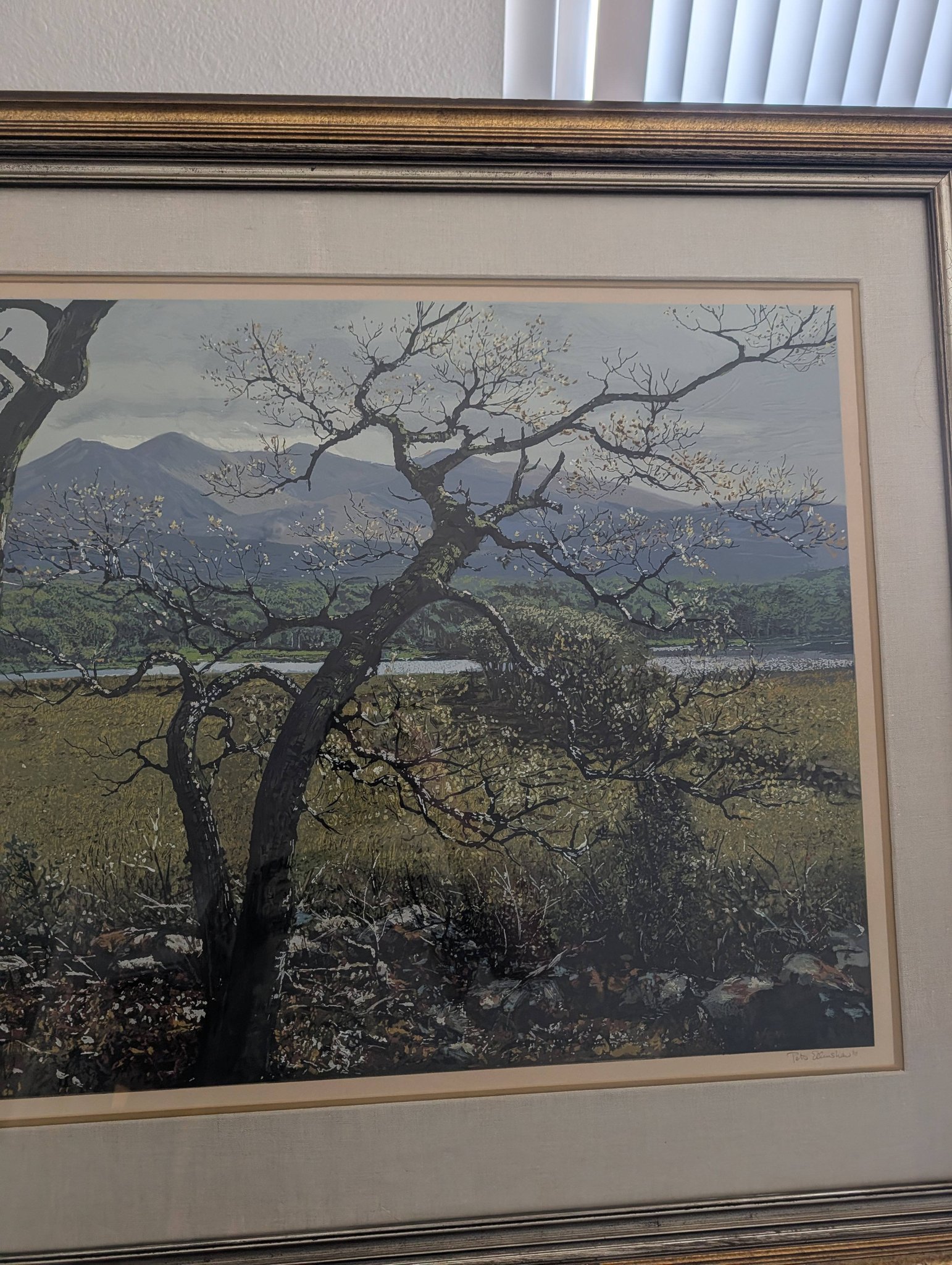 What is the value of a Peter Ellenshaw serigraph artist proof artwork?