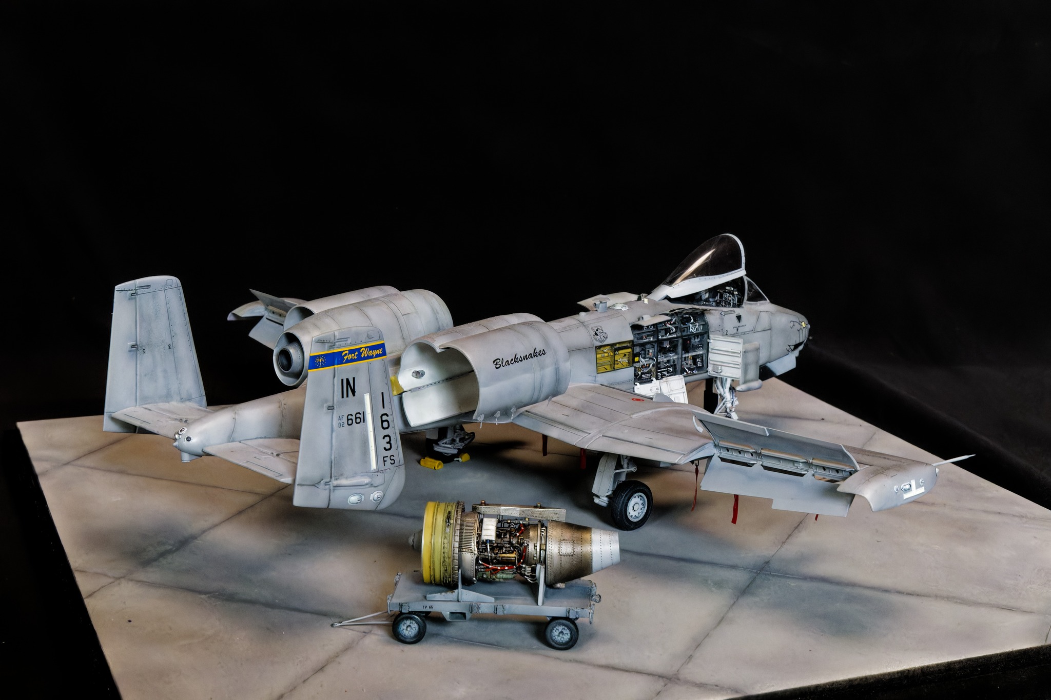 Italeri 1/48 scale A-10C model completed with Black Dog set