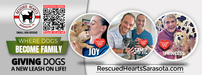 Rescued Hearts - Small Dog Rescue | Sarasota FL