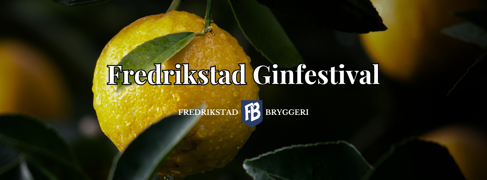 Fredrikstad Ginfestival