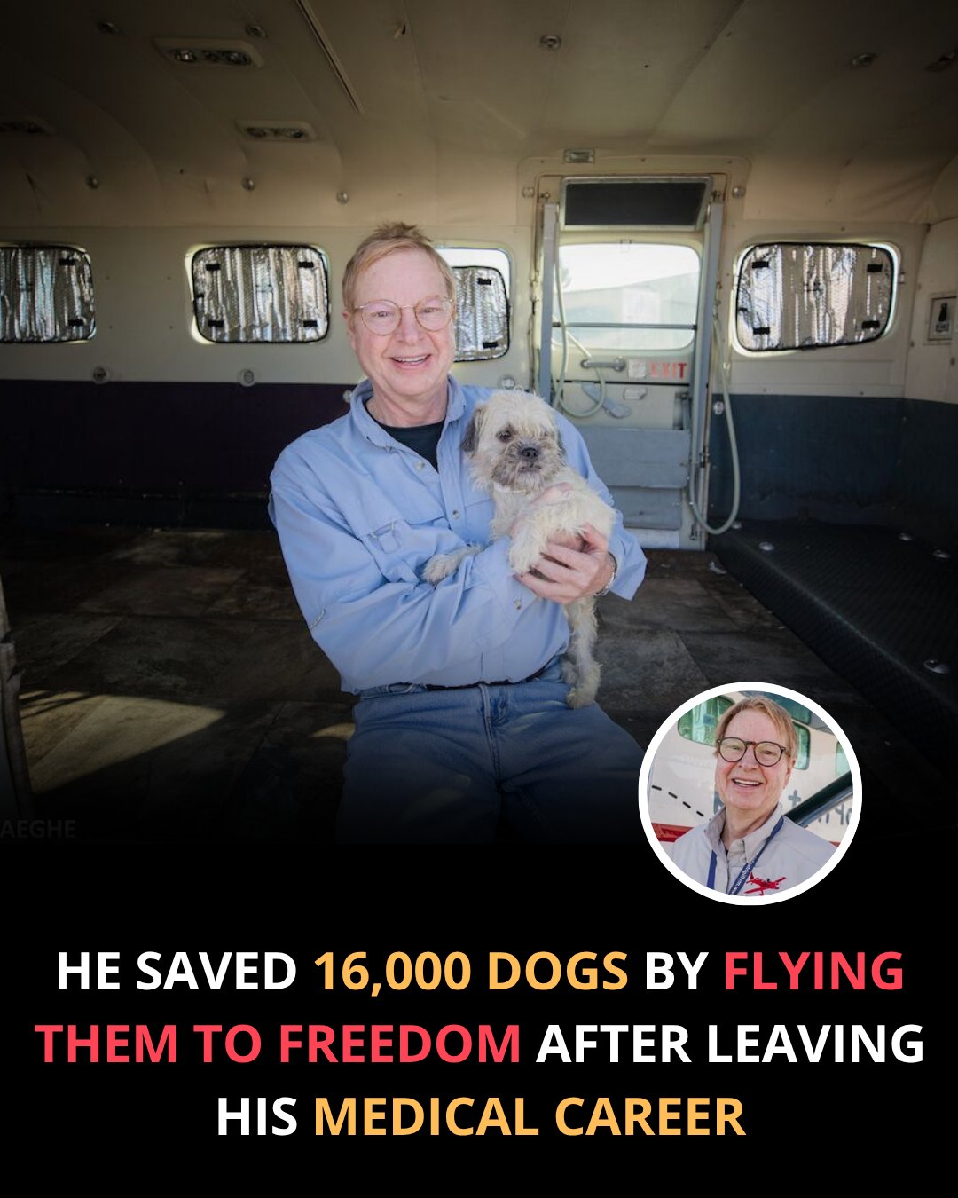 PawsMint - He saved 16,000 dogs by flying them to freedom after walking ...
