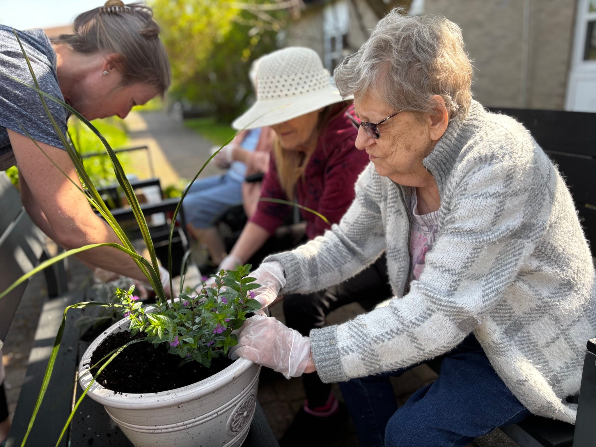 Harbour View Haven... - Harbour View Haven Nursing Home