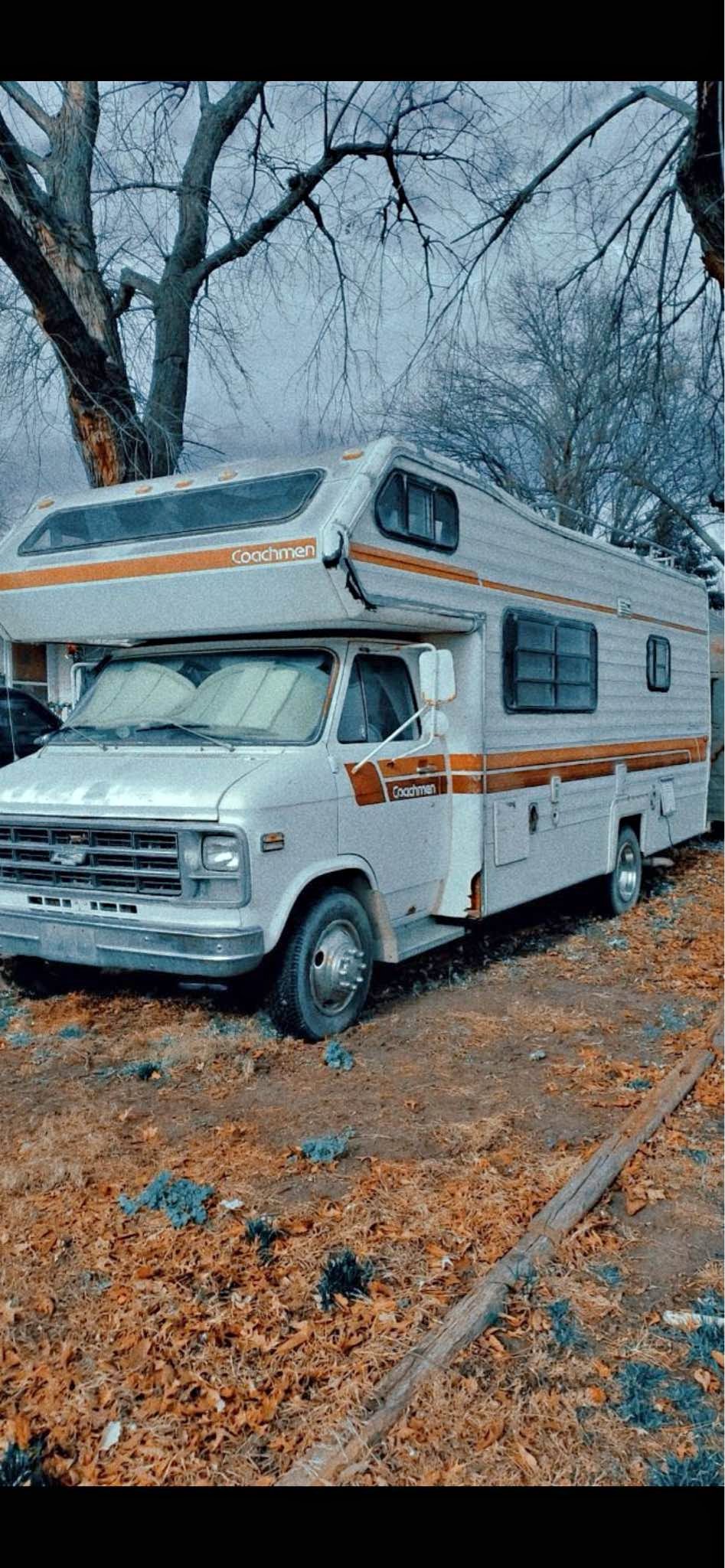 1979 Chevrolet G30