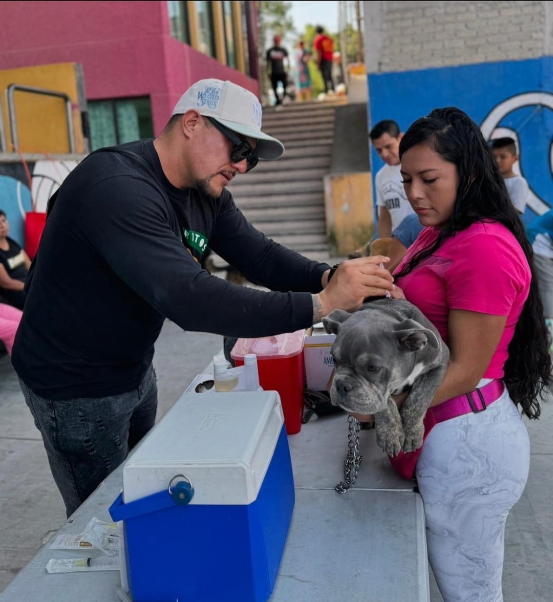 colonia PRD - Jornada. Bienestar animal 🐶😺 Gracias a la... | Facebook