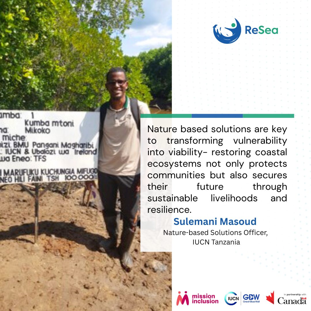 resea-introducing-the-resea-nature-based-solutions-team-meet