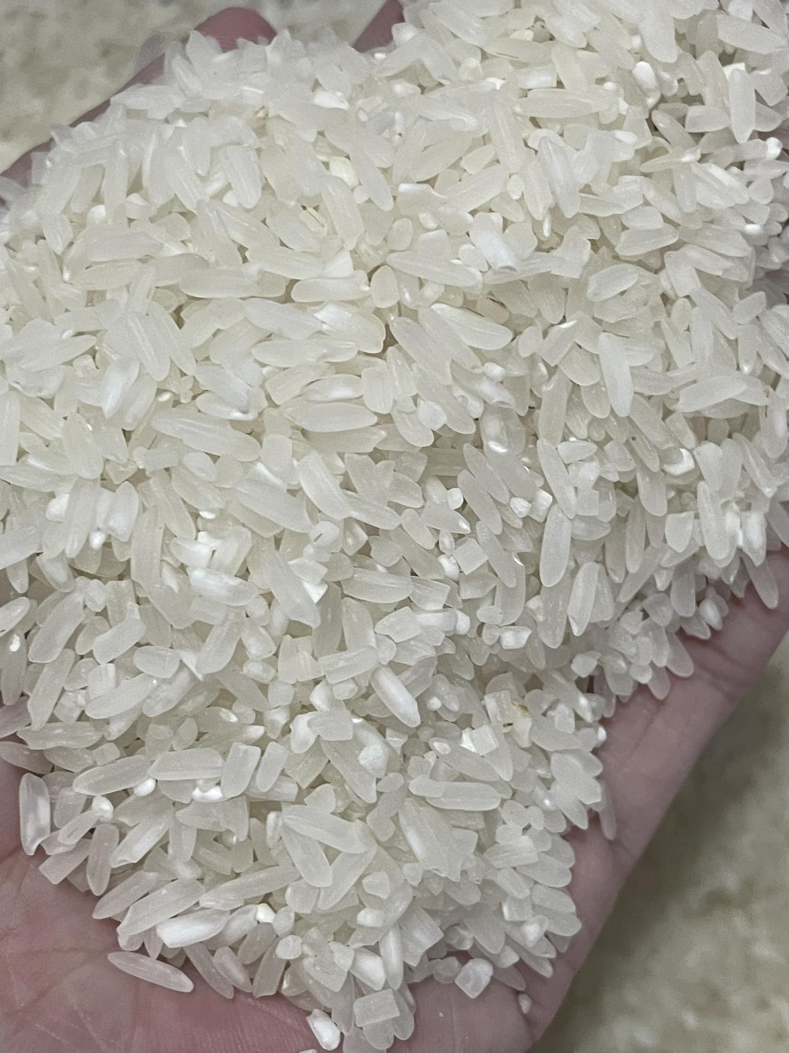 🌾🌾🌾BETHLY R64 Ilocos Rice🌾🌾🌾 P... - Echo Eagles 2005 Store | Facebook