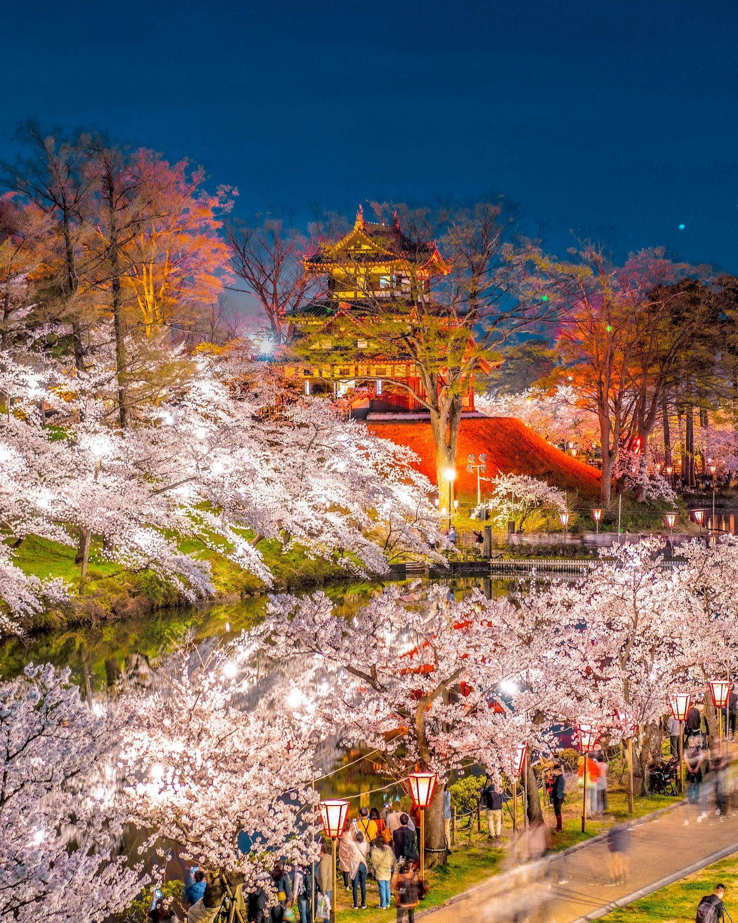 Beautiful Japan 日本 - Spring Night in Niigata, Japan 😍🌸 | Facebook