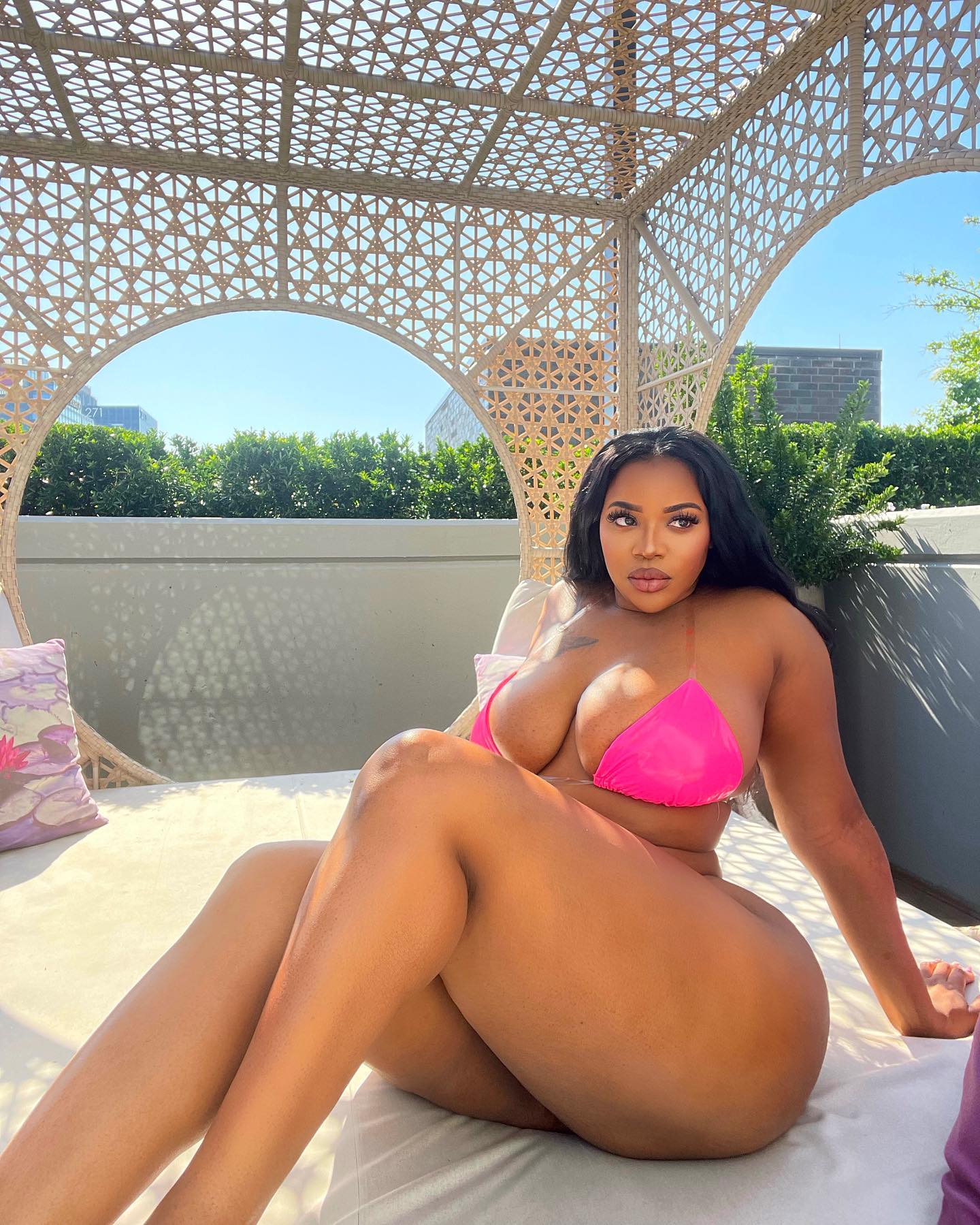 Brianna D Francisco
