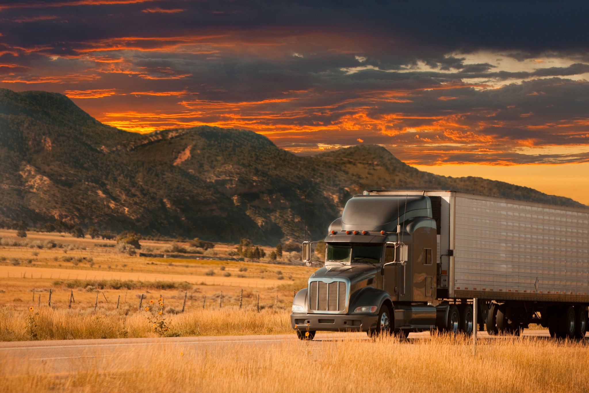 Royal Freight Drug & Alcohol Testing | Greeley CO