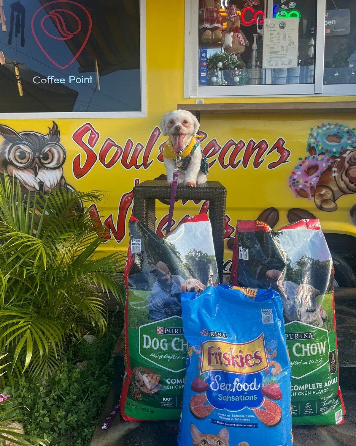 Hope for Paws Drive