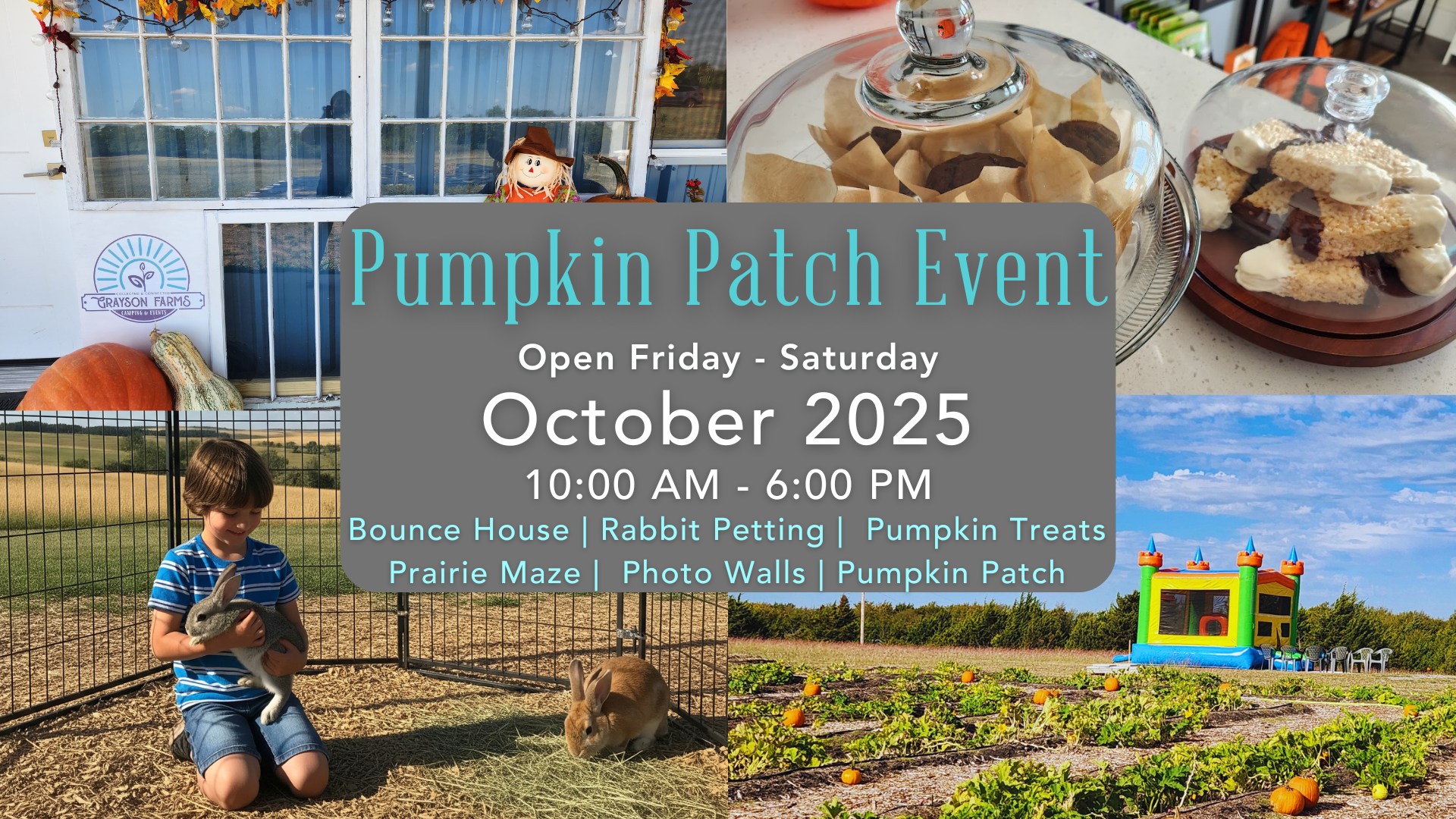 Pumpkin Patch Event at Grayson Farms
