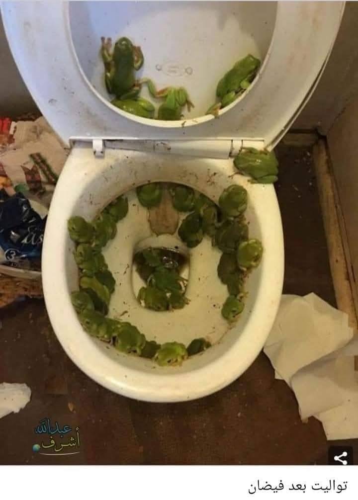 شغف المعرفة | صورة عادية بس ..مــرعـبـة 😵‍💫🤨 | Facebook
