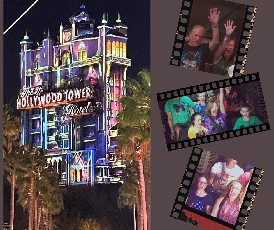 Disney World タワー・オブ・テラー 1994 1オンス 純銀 Disney World