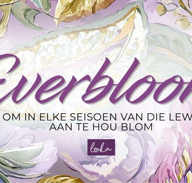 Vanderbiljpark , Vereeniging, Sasolburg, Meyerton, Sebokeng, Three ...